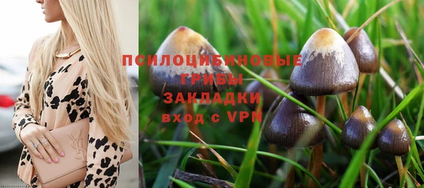 MDMA Новозыбков