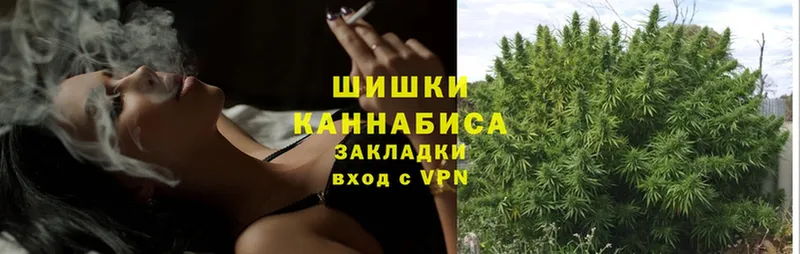 Шишки марихуана THC 21%  Александровск-Сахалинский 